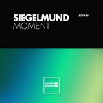 cover: Siegelmund - Moment