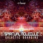 cover: Spiritual Molecule - Galactic Boarding