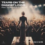 cover: Hannah Boleyn|KSHMR - Tears On The Dancefloor