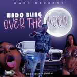 cover: Wado Bling - OVER THE MOON (Explicit OFFICIAL AUDIO)