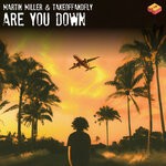 cover: Martin Miller|Takeoffandfly - Are You Down