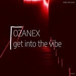 cover: Ozanex - Get Into The Vibe