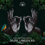 cover: Natalia Paris|Frigid Armadillo - Divine Vibrations