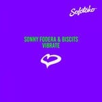 cover: Biscits|Sonny Fodera - Vibrate