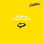 cover: GW Harrison - You Got Me Feeling