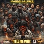 cover: Mandella Linkz - Tell Me Why