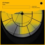 cover: STI Project - Hate