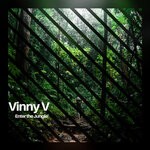 cover: Vinny V - Enter The Jungle