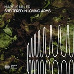 cover: Markus Miller - Sheltered In Loving Arms