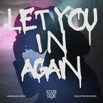 cover: Landslide Crew - Let You In Again