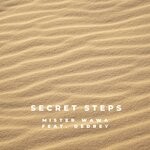 cover: Mister Wawa|Dedrey - Secret Steps (Radio Edit)