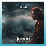 cover: David McQuiston - The One