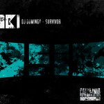 cover: DJ Domingo - Survivor