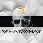 cover: Mario Z - What, What