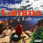 cover: Unorthodox473 - Gamma Ray (Explicit)