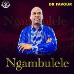 cover: Dr Favour - Ngambulele