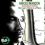 cover: Harold Brandon - She Say's (There Is A Place)