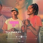 cover: Shaman Deep (Terry Vibez & BYC) - Touch One