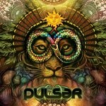 cover: Pulsar - 8th Life