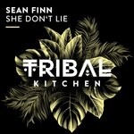 cover: Sean Finn - She Don't Lie