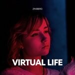 cover: Zinsberg - Virtual Life