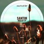 cover: Santim - Molad