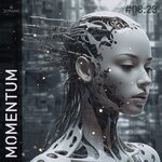 cover: DJ MANE - Momentum