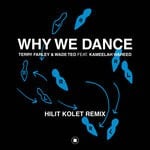 cover: Kameelah Waheed|Terry Farley|Wade Teo - Why We Dance (Hilit Kolet Remix)