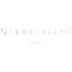 cover: Ruler B - Gibberellic