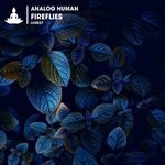 cover: Analog Human - Fireflies