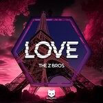 cover: The Z Bros - Love