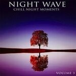 cover: Various - Night Wave Vol 3 - Chill Night Moments