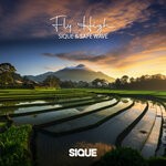 cover: Safe Wave|SIQUE - Fly High