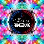 cover: FunkeeSounds - THIS IS FUNKEESOUNDS