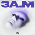 cover: Linkage - 3A.M