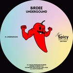 cover: Birdee - Undergound