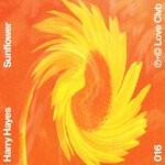 cover: Harry Hayes - Sunflower (Extended Mix)