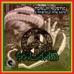 cover: Friendly Fire Band|TOMLIN MYSTIC - Salaam