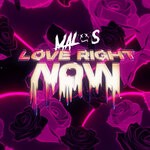 cover: Malos - Love Right Now