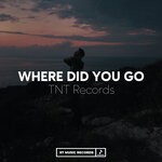 cover: TNT Records - Where Did You Go