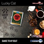 cover: Lucky Cat - Dance To My Beat