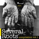 cover: Various - Several Roots Compilation, Vol 1