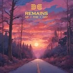 cover: Birmingham Electric - Remains Of The Day