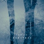 cover: Akmuo - Realybes