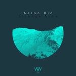 cover: Aaron Kid - Strange Vibe