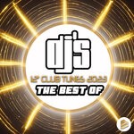 cover: Various - DJ's 12" Club Tunes 2023: The Best Of