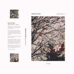 cover: Jamison Isaak - Spring Patterns 1