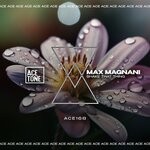 cover: Max Magnani - Shake That Thing