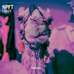 cover: NPFT - Crazy