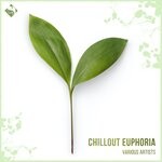 cover: Various - Chillout Euphoria